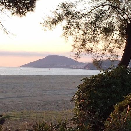2 Chambres, Residence Avec Piscine, 100 Metres De La Mer Argelès-sur-Mer Eksteriør billede